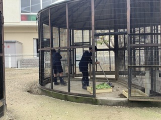 画像0