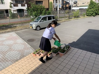 画像0