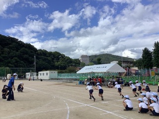 画像1