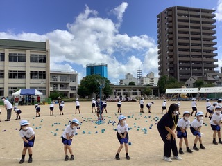 画像5