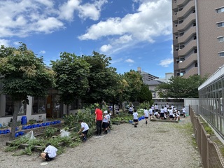 画像0