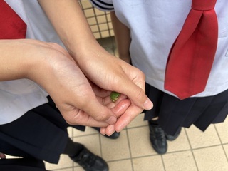 画像0