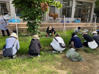 画像0