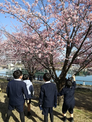 画像0