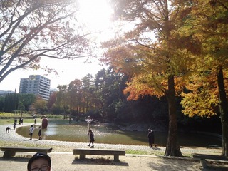 画像0