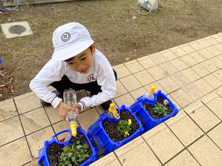 画像0