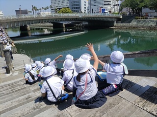 画像5