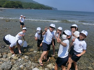 画像5