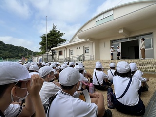 画像0