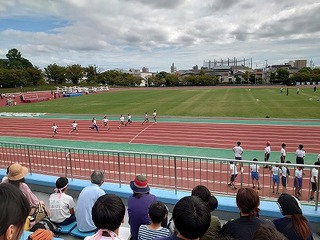 画像0