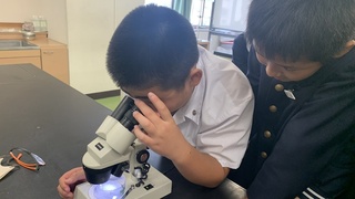 画像0