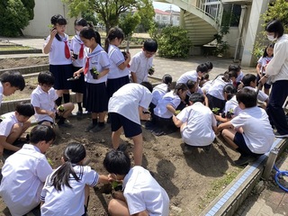 画像2