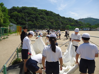 画像4