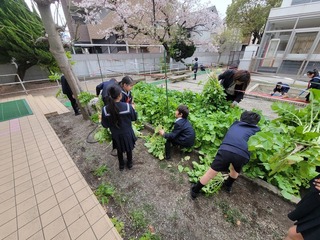 画像0