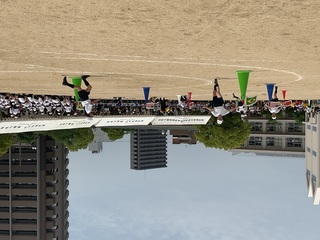 画像0