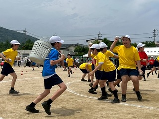 画像0