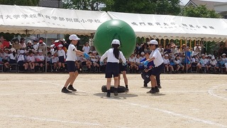 画像0