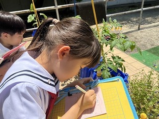 画像0