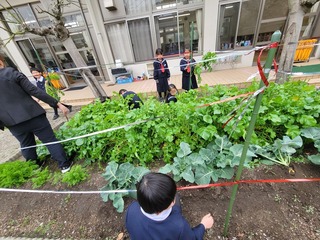 画像4