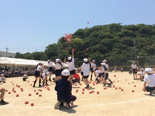 画像0
