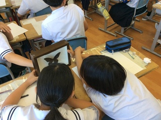 画像0