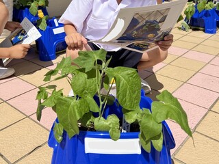 画像0