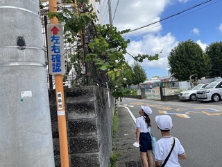 画像0