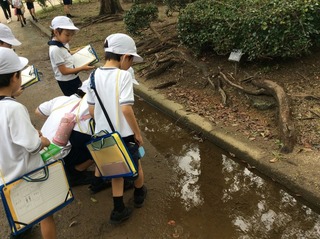 画像0