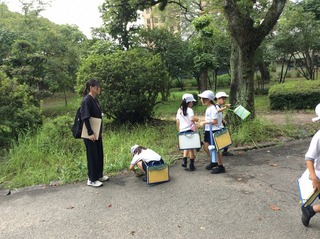 画像2