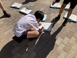 画像0