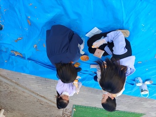 画像4