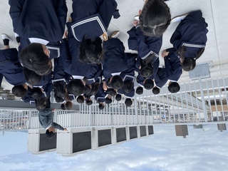 画像0