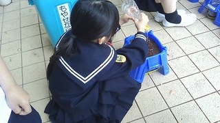 画像0