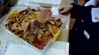 画像0