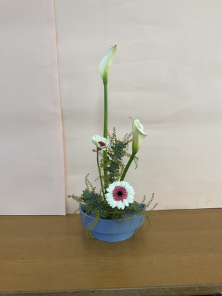 画像0