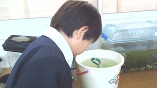 画像0