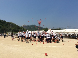 画像1